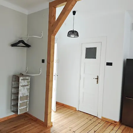 Sage Green Cosy Studio Apartment Lodz